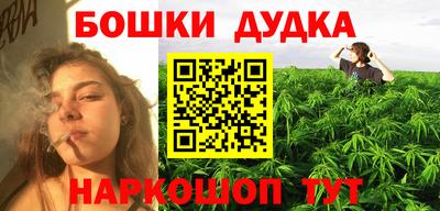прущие крисы Будённовск