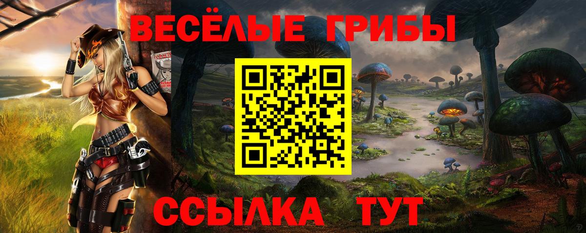 Псилоцибиновые грибы GOLDEN TEACHER  Вход с VPN  Сатка 